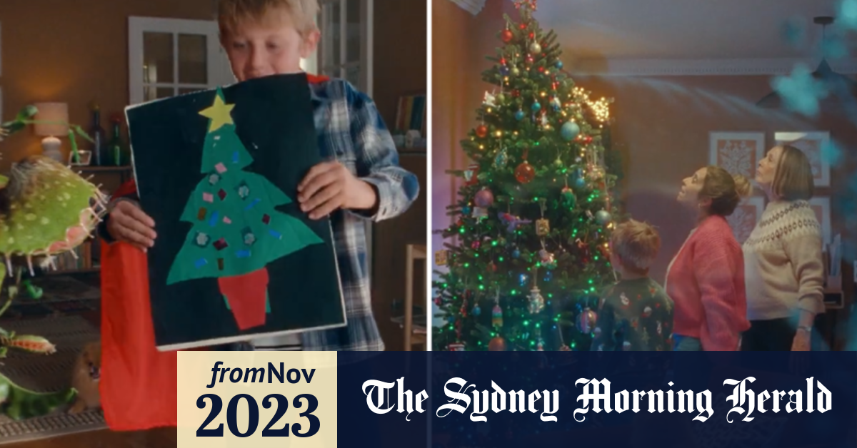 Video Christmas ads 2023 John Lewis Snapper The Perfect Tree